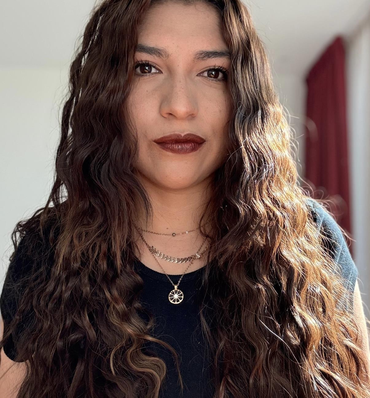 Laura C.  Redondo Torres