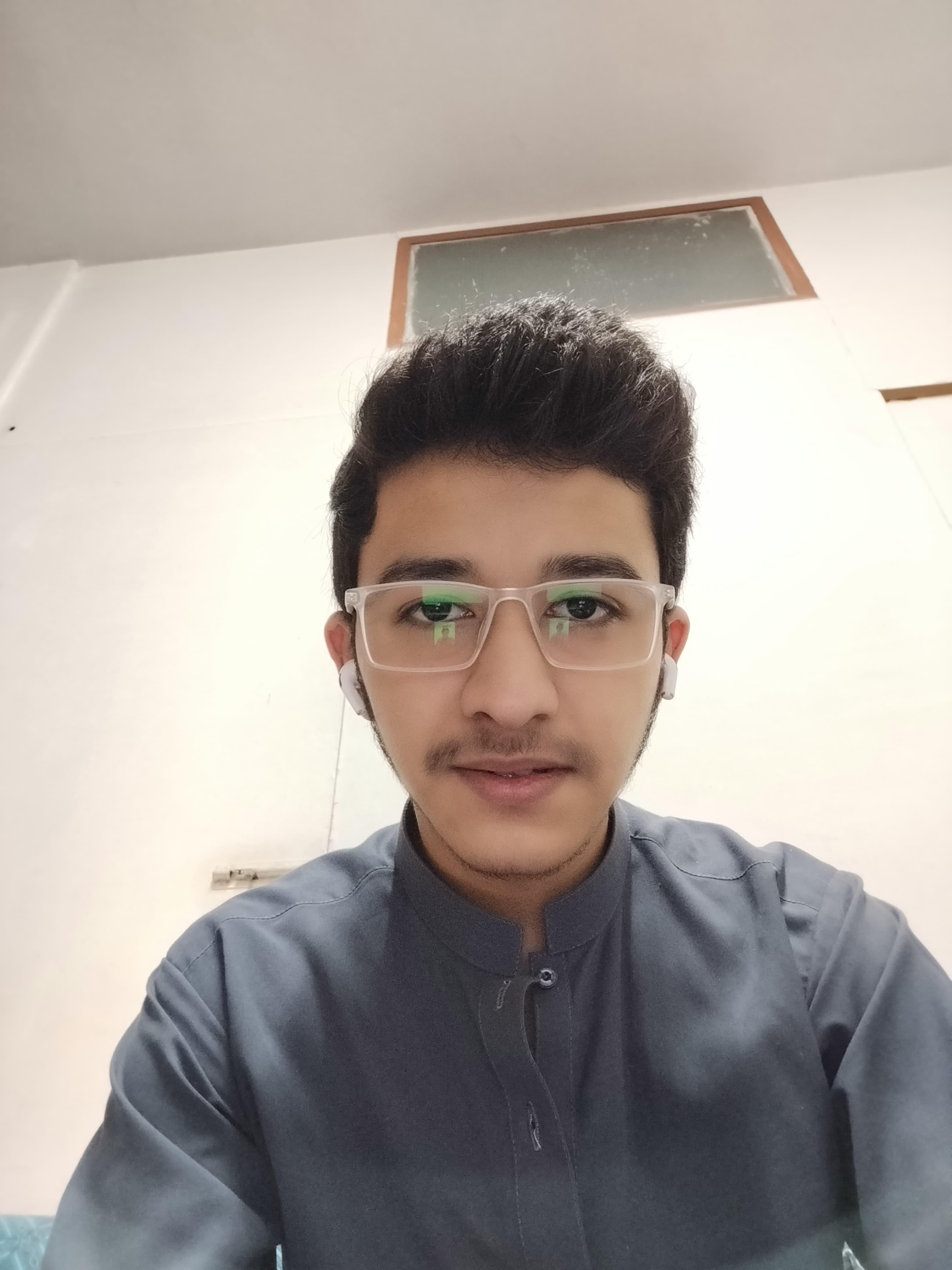 Muhammad S. Abid Rauf