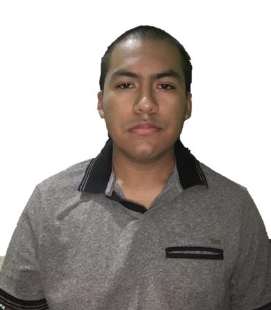 Ricardo J. Bellido Dominguez