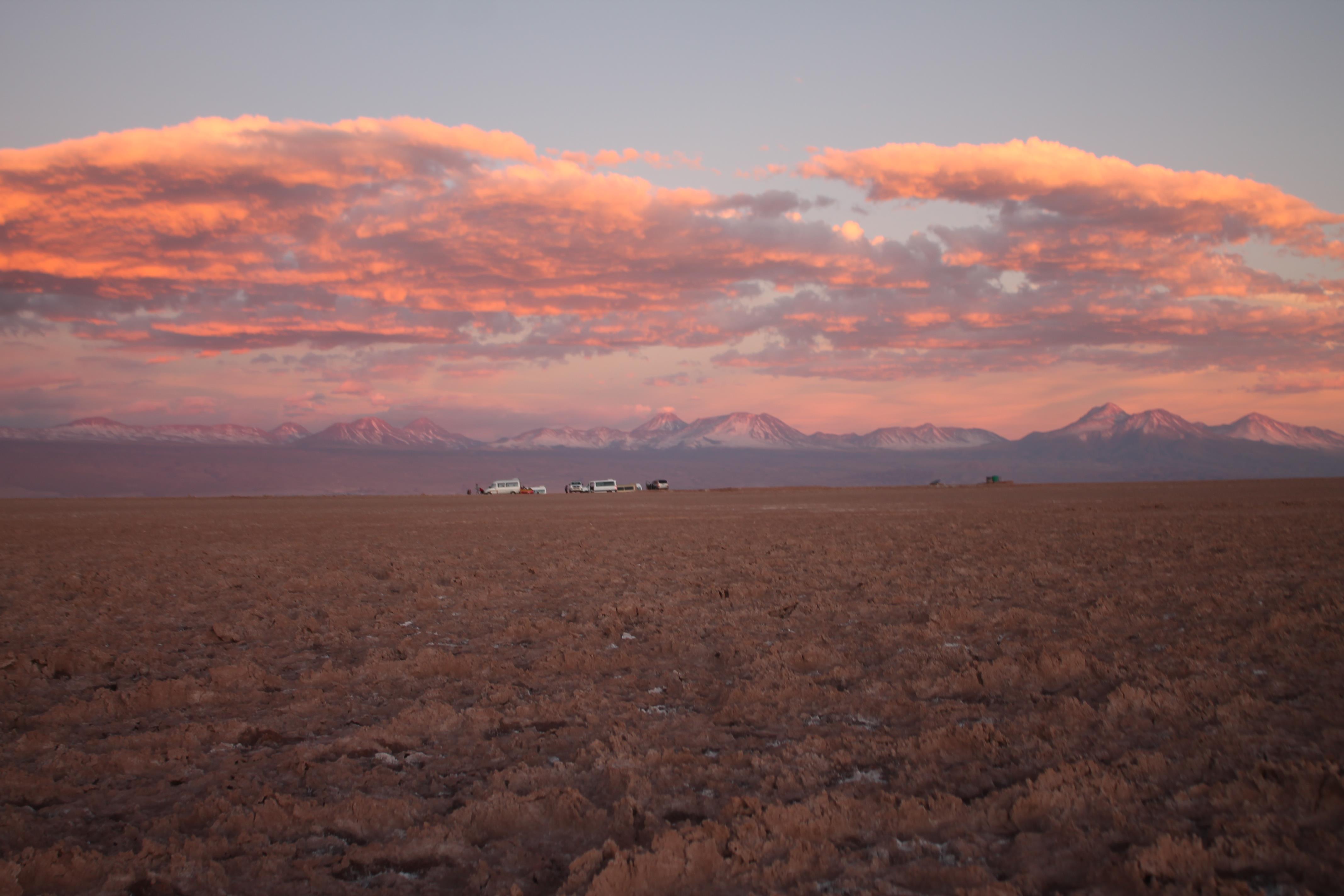 Alaia Cruz Salterain