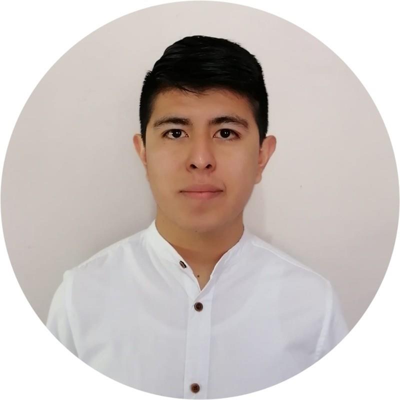 Brayan J. Cruz Mendez