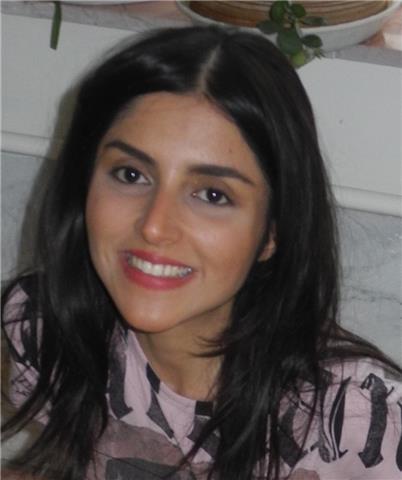 Fateme A. Ajini