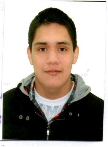 Dennis O. Gamarra Bojorquez