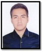 David A. Quiñones Polo