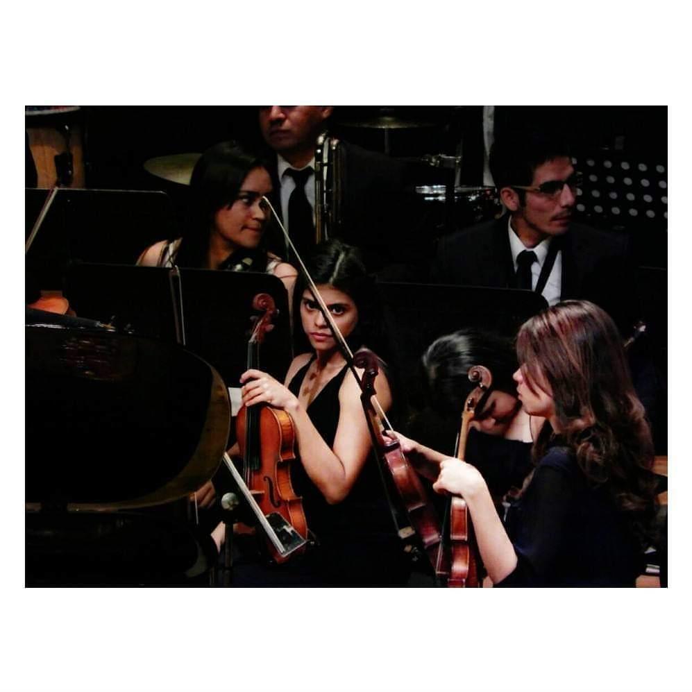 Laura M. Villarreal Villarreal