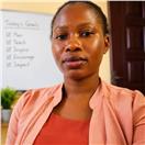 Adeyinka O. Ajisafe