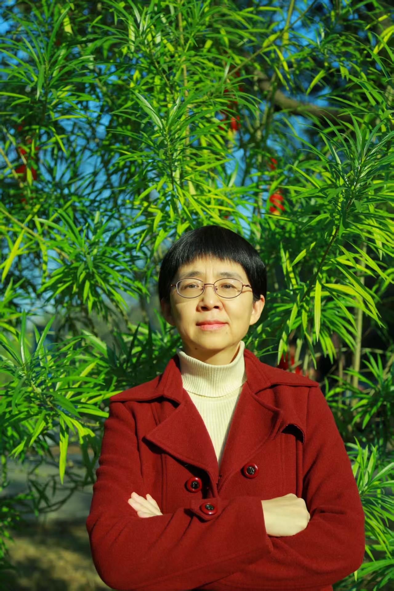Wen hua 