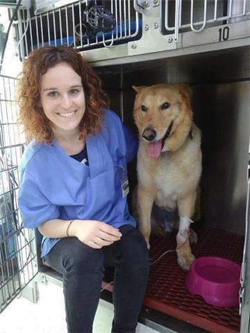 Laia Gutierrez Tordera