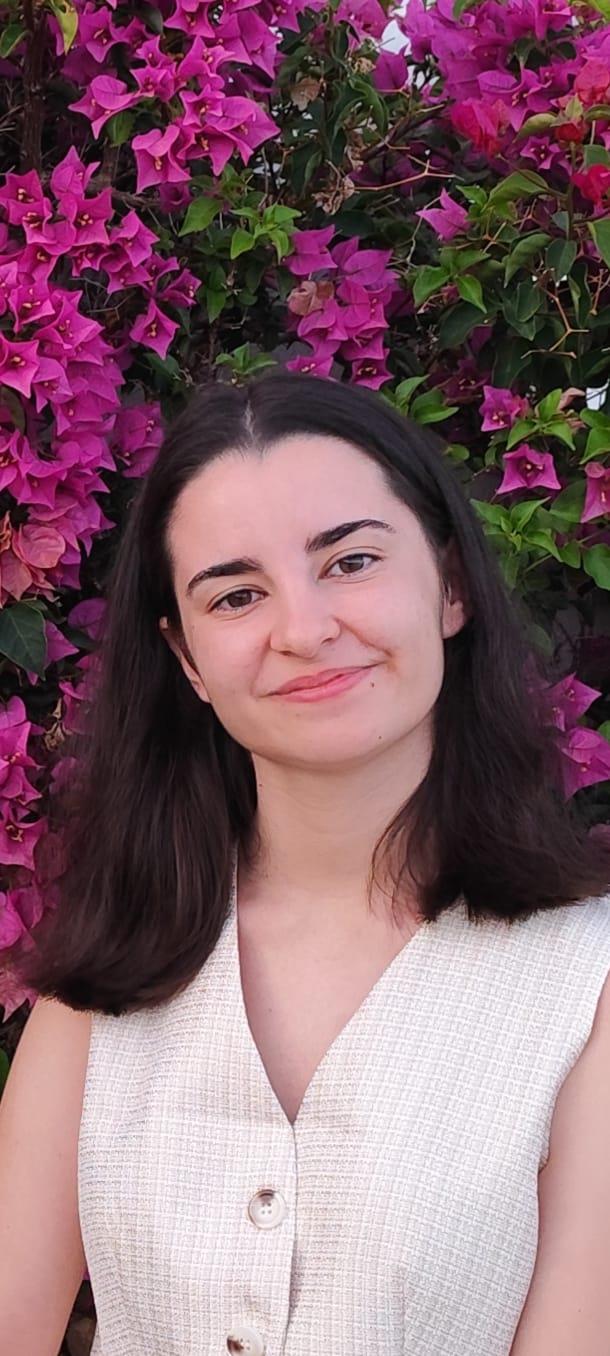 Mari C. Sorroche Sierra