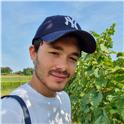 Davide