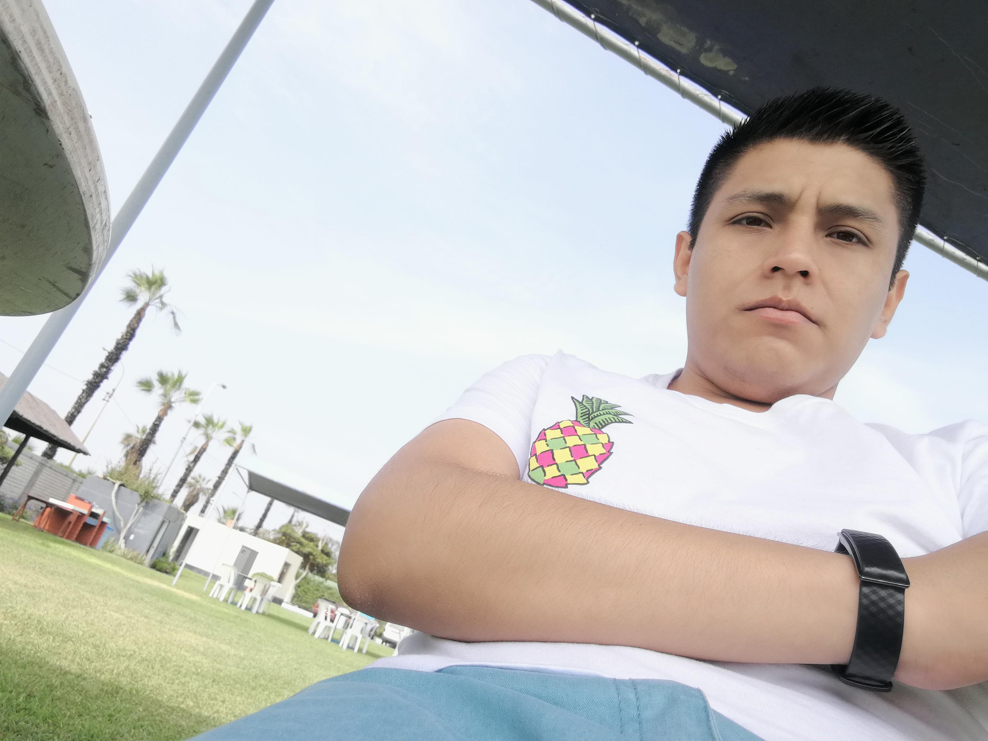 Luis R. Rivas Curisinche