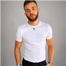 Francesc Esteve Massons