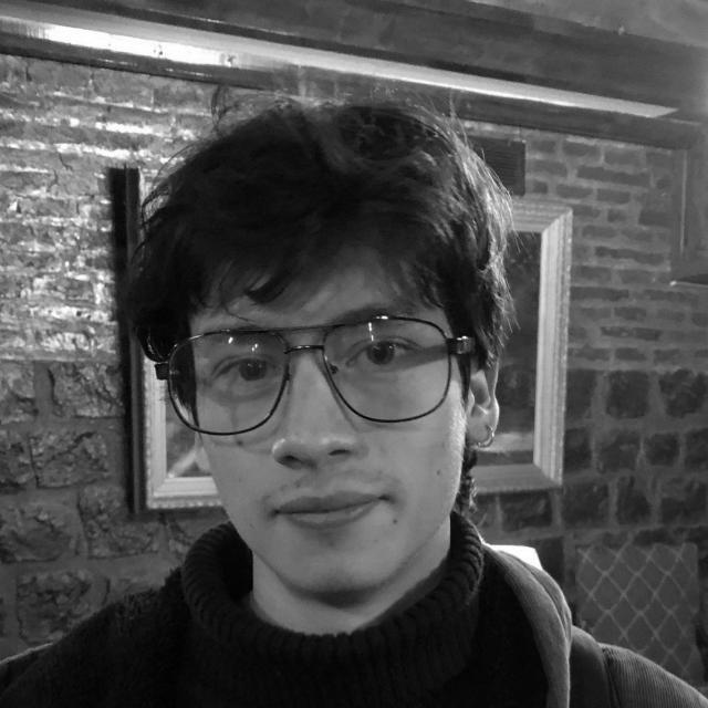 Sebastian Nuñez Alcayaga